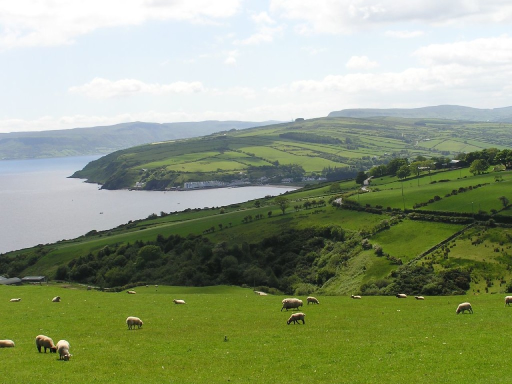 Leading Women To Ireland